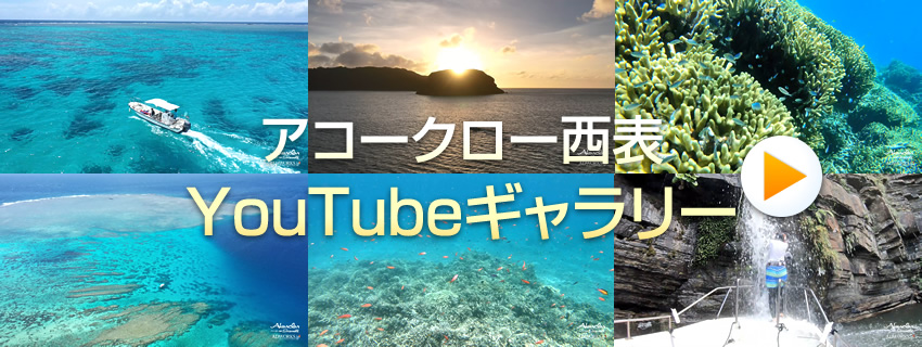 動画で見る西表島!アコ―クロー西表Youtubeギャラリー