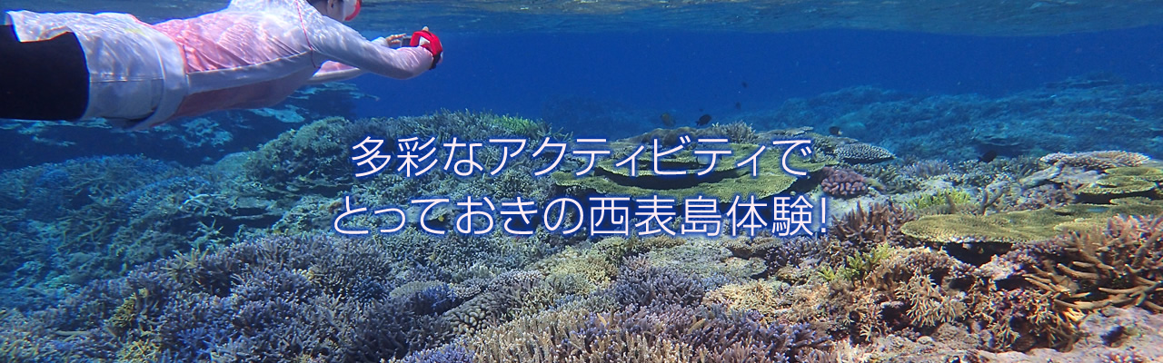 ゲストハウスアコークロー西表直営ツアーアクティビティでとっておきの西表島体験!